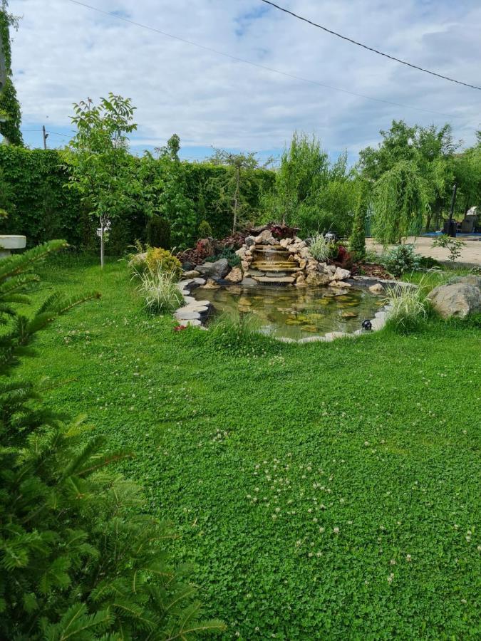 Casa Elis Piscina, Jacuzzy , Sauna, Ciubar Merei 外观 照片